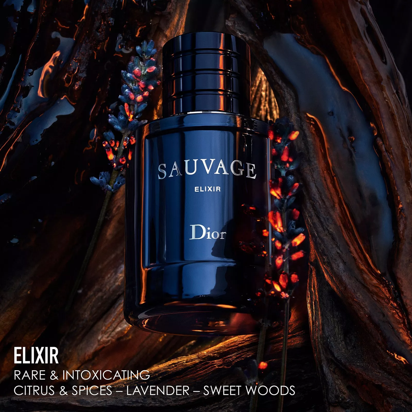 Dior Sauvage Elixir, 2 oz.